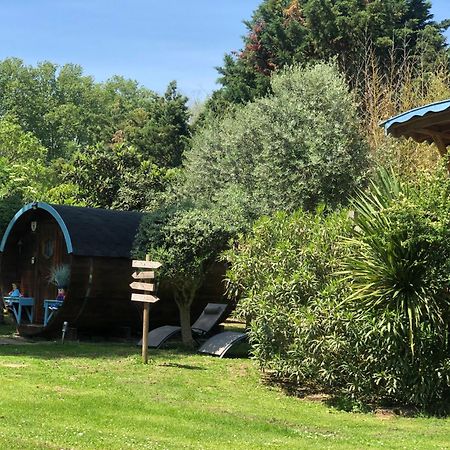 La Bastide De Negra Bed & Breakfast Montesquieu-Lauragais Bagian luar foto