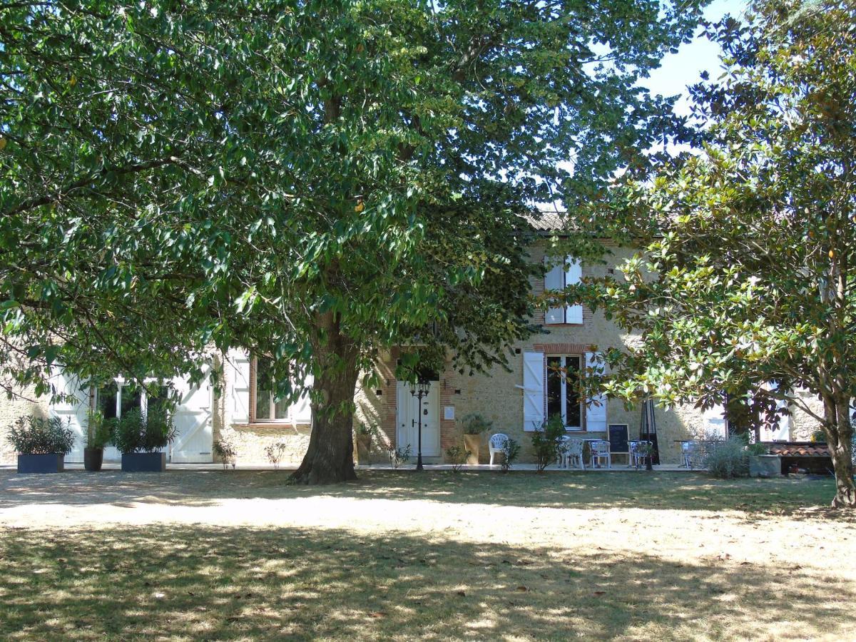 La Bastide De Negra Bed & Breakfast Montesquieu-Lauragais Bagian luar foto
