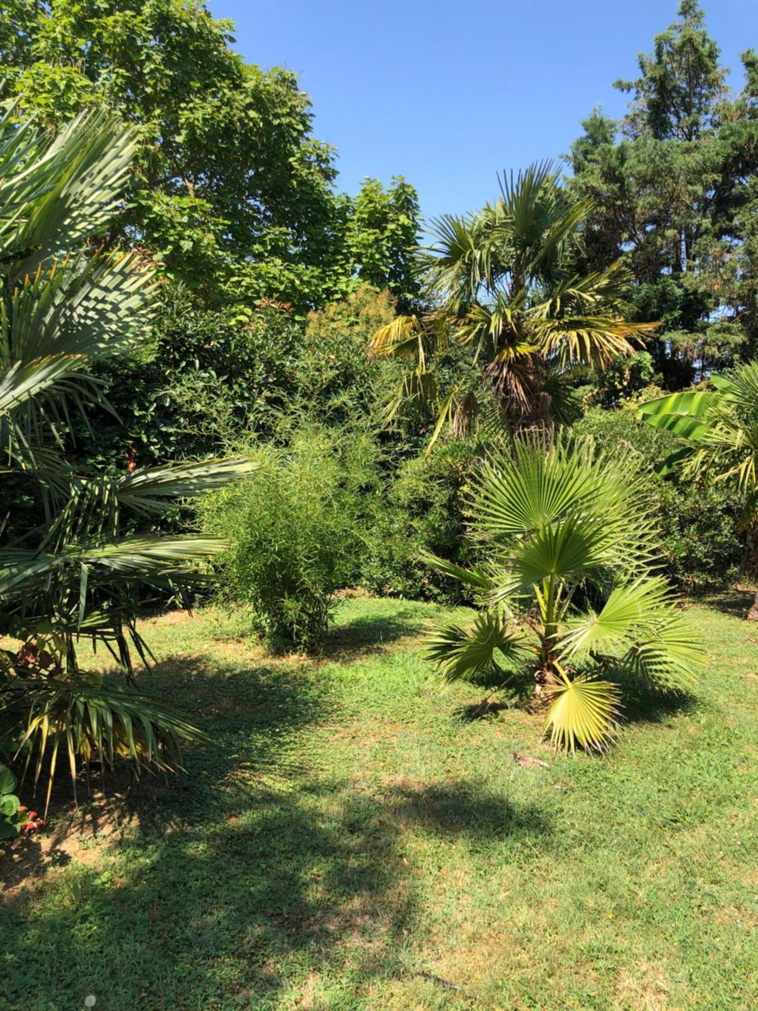 La Bastide De Negra Bed & Breakfast Montesquieu-Lauragais Bagian luar foto