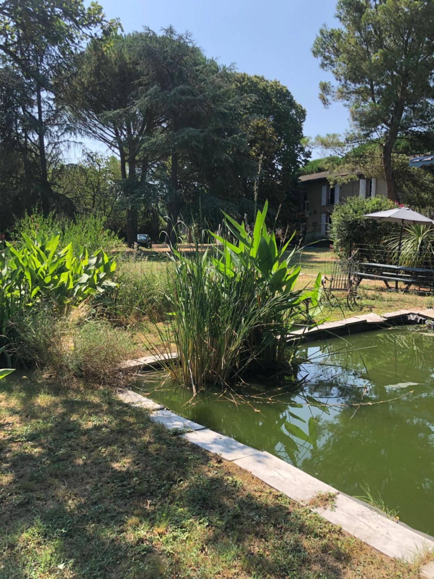 La Bastide De Negra Bed & Breakfast Montesquieu-Lauragais Bagian luar foto
