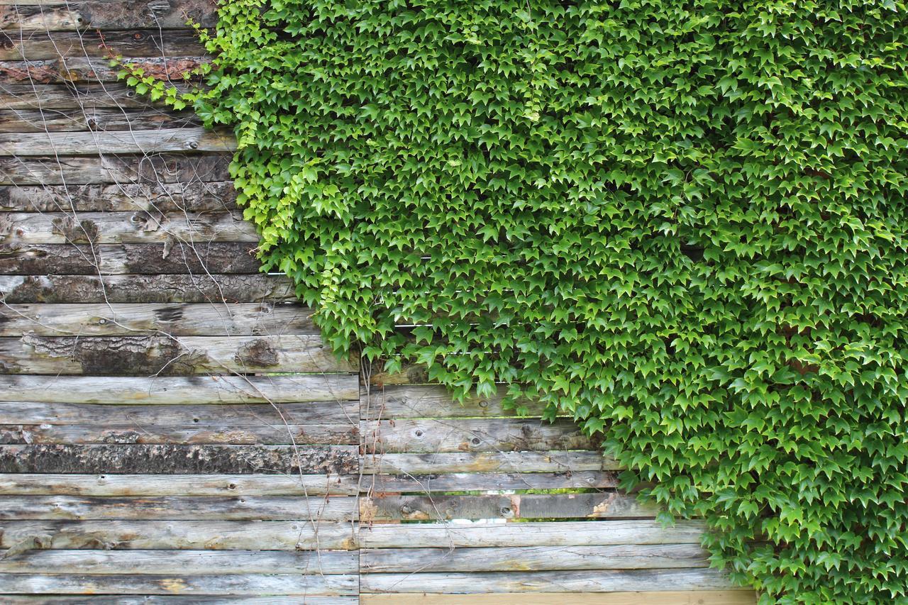 La Bastide De Negra Bed & Breakfast Montesquieu-Lauragais Bagian luar foto