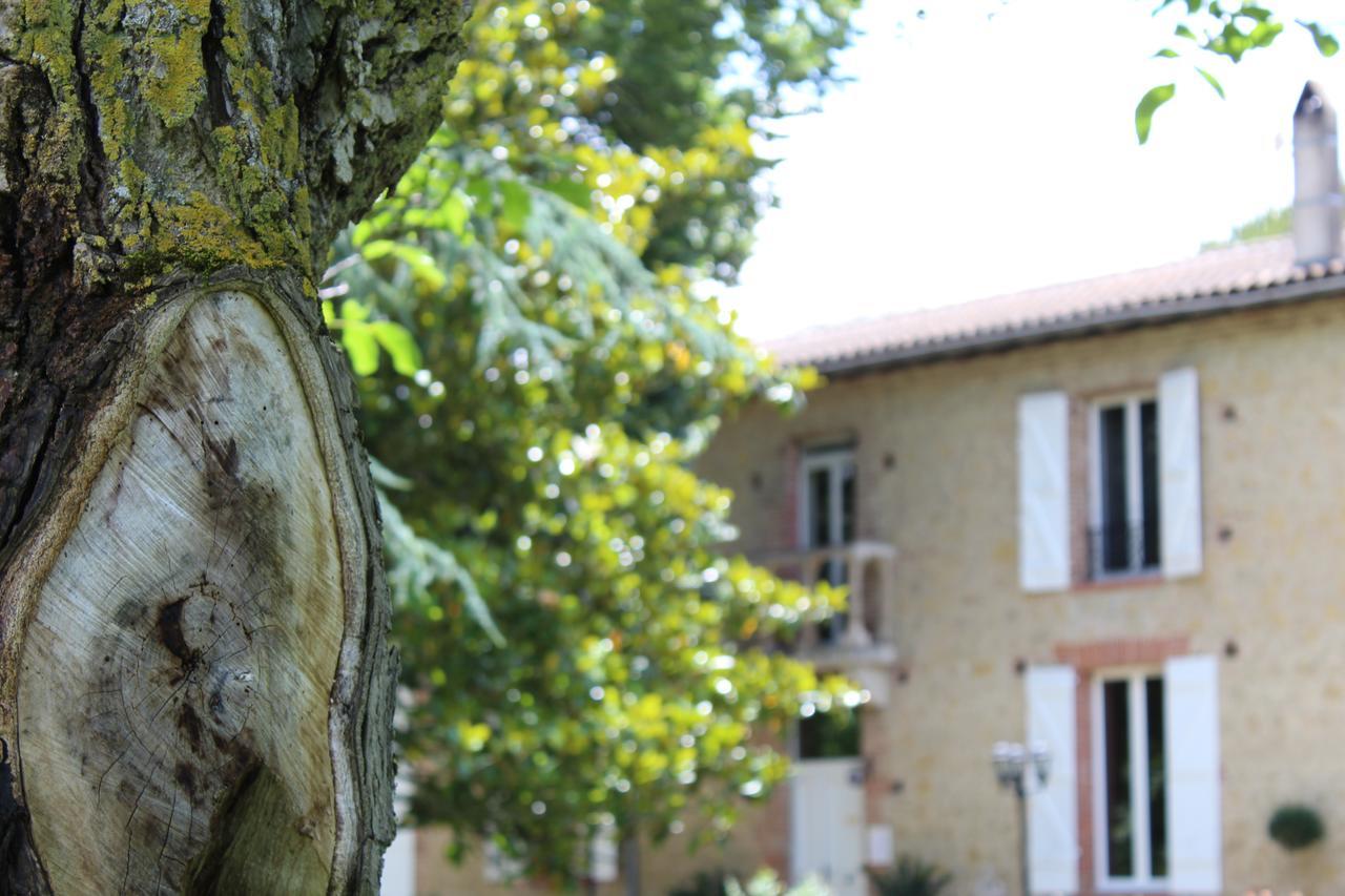 La Bastide De Negra Bed & Breakfast Montesquieu-Lauragais Bagian luar foto