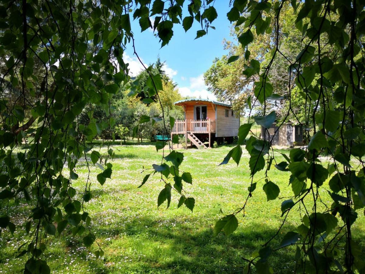 La Bastide De Negra Bed & Breakfast Montesquieu-Lauragais Bagian luar foto